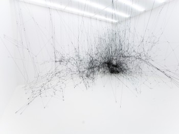 A complex irregular network of many black fibers in a white gallery space.