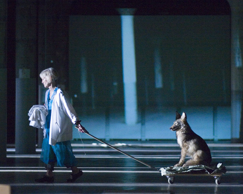 A woman pulls a dog on a wheeled trolley.